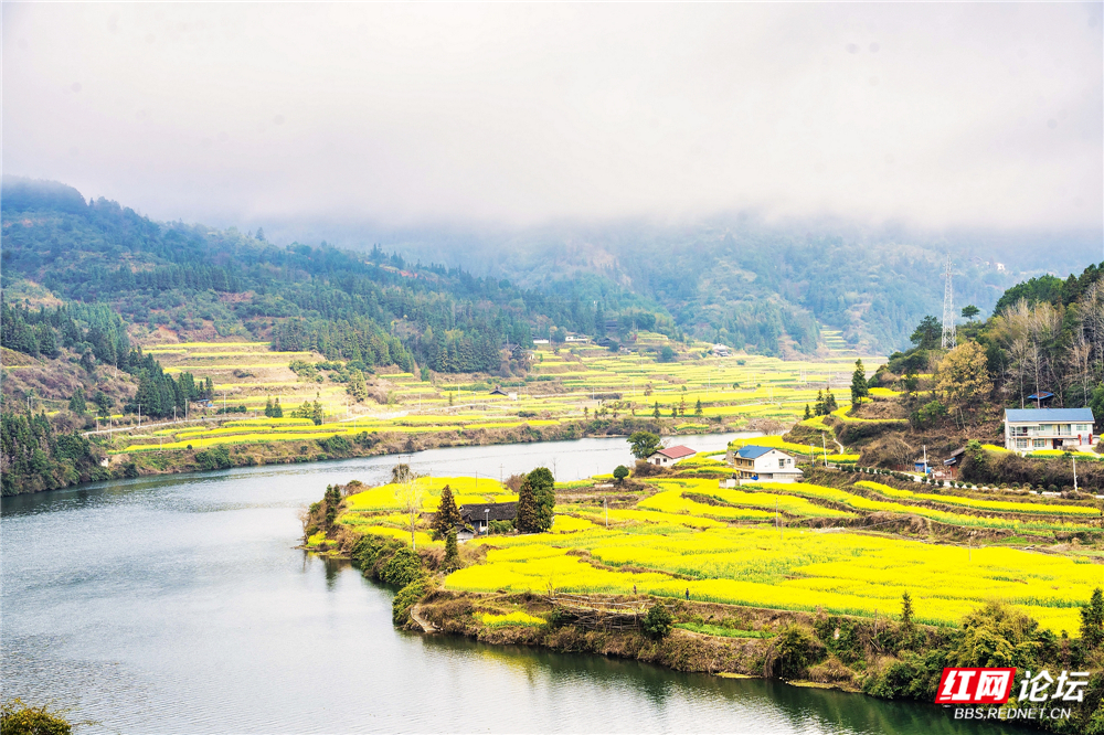 nEO_IMG_DSC02552 拷贝.jpg