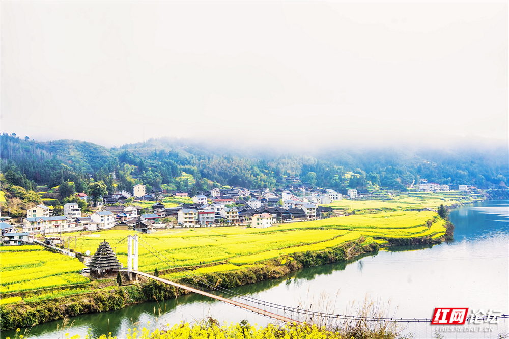 nEO_IMG_DSC02550 拷贝.jpg