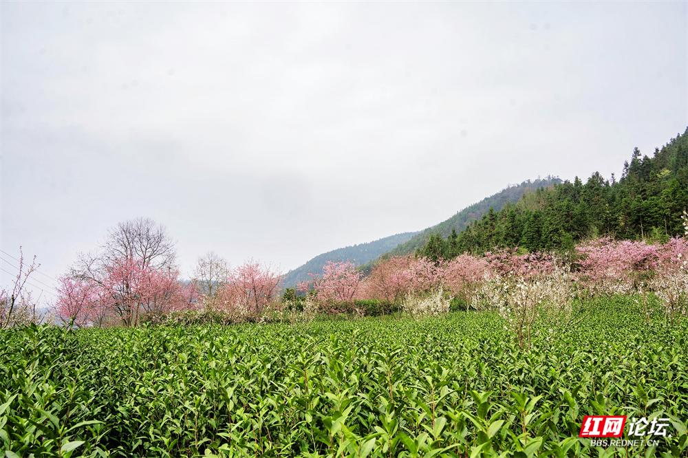 nEO_IMG_DSC02952 拷贝.jpg