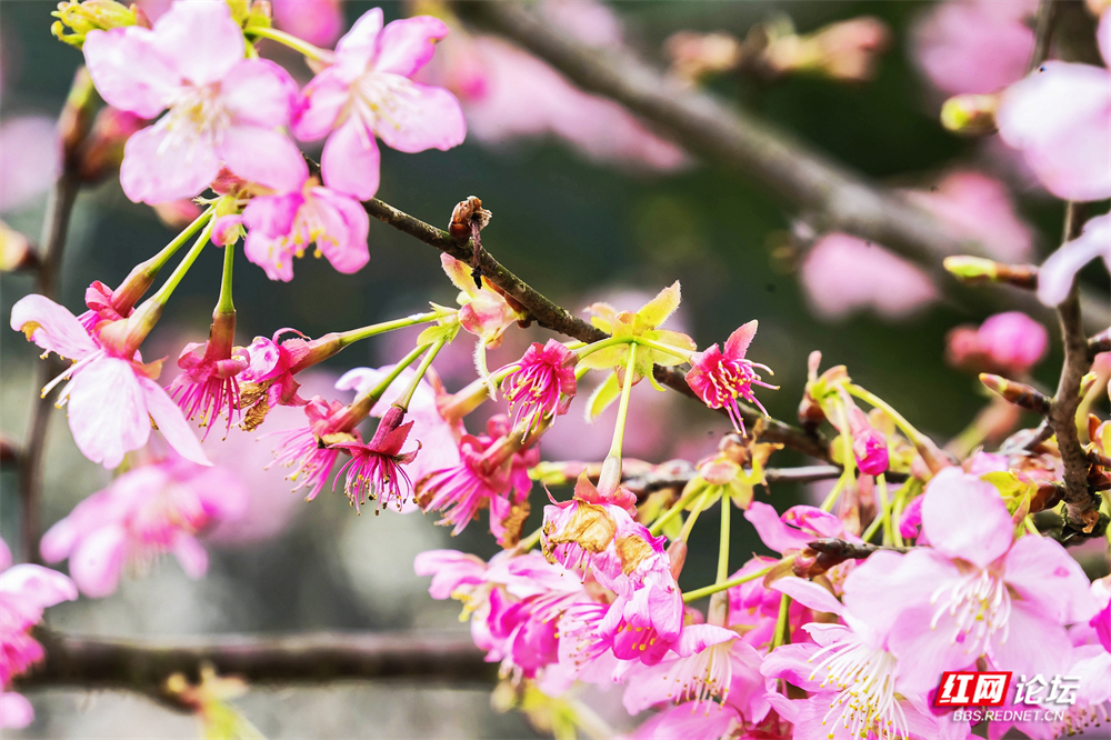 nEO_IMG__DSC8647 拷贝.jpg