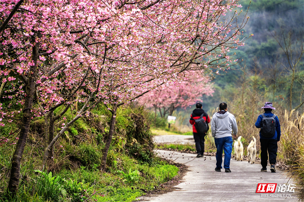 nEO_IMG_DSC02873 拷贝.jpg