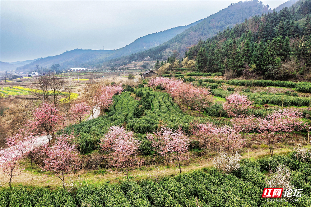 nEO_IMG_DJI_0581_1 拷贝.jpg