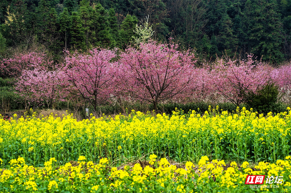 nEO_IMG_DSC02905 拷贝.jpg