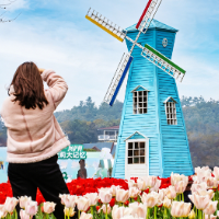 【每日一图@湖南】在长沙园林生态园，看郁金香斟满春光