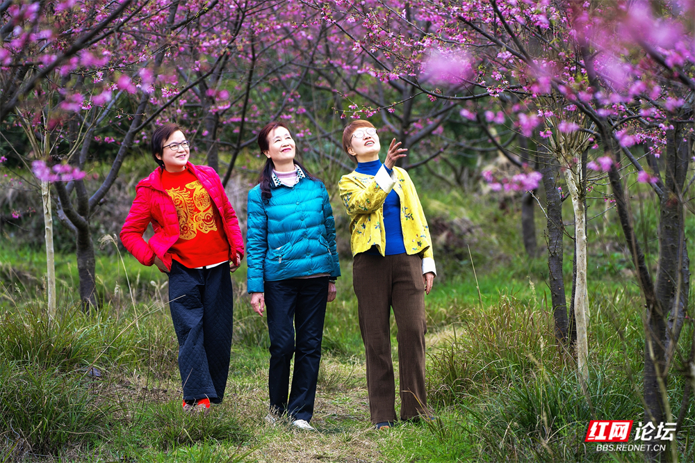 nEO_IMG_DSC03309 拷贝.jpg