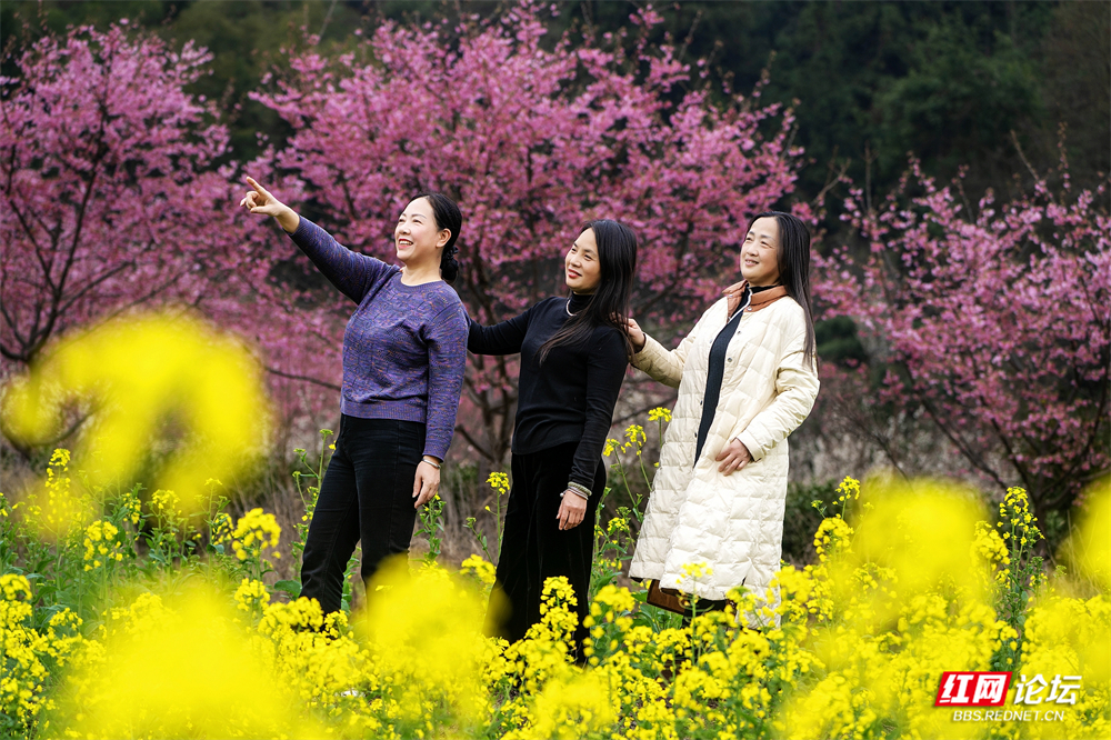 nEO_IMG_DSC03244 拷贝.jpg