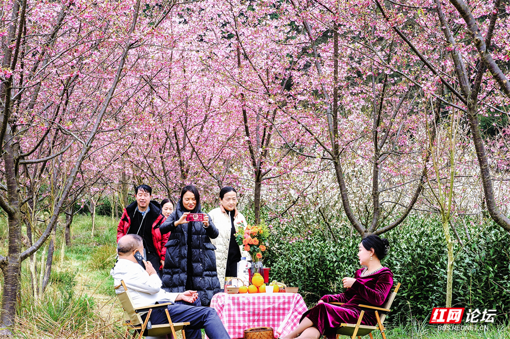 nEO_IMG__DSC8662 拷贝.jpg