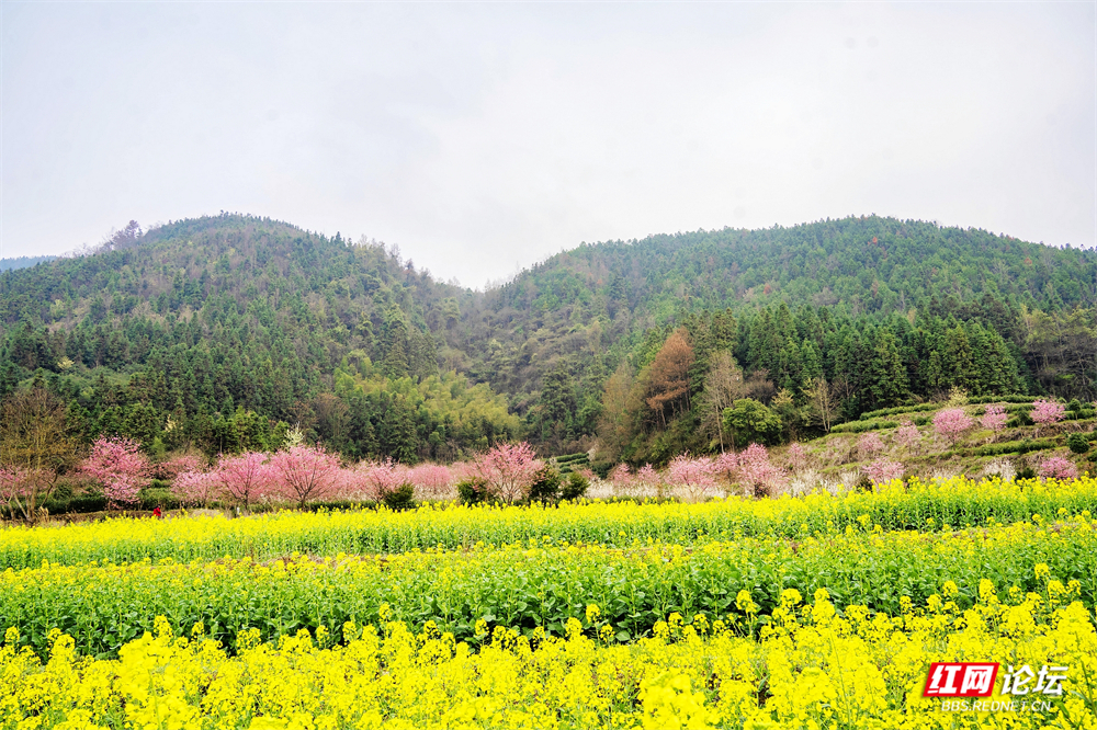 nEO_IMG_DSC02904 拷贝.jpg