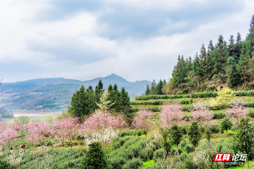 nEO_IMG__DSC8603 拷贝.jpg