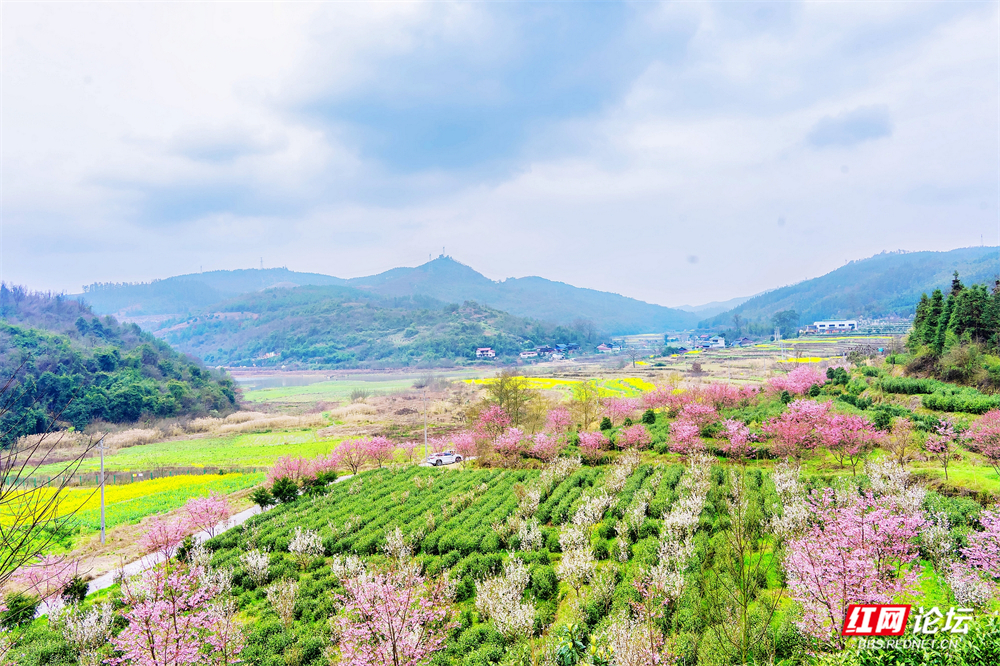 nEO_IMG__DSC8639 拷贝.jpg