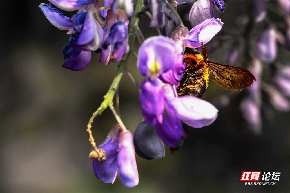 nEO_IMG_DSC00489 拷贝.jpg