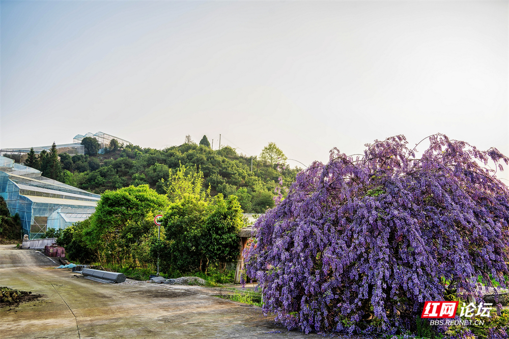 nEO_IMG_DSC00814 拷贝.jpg