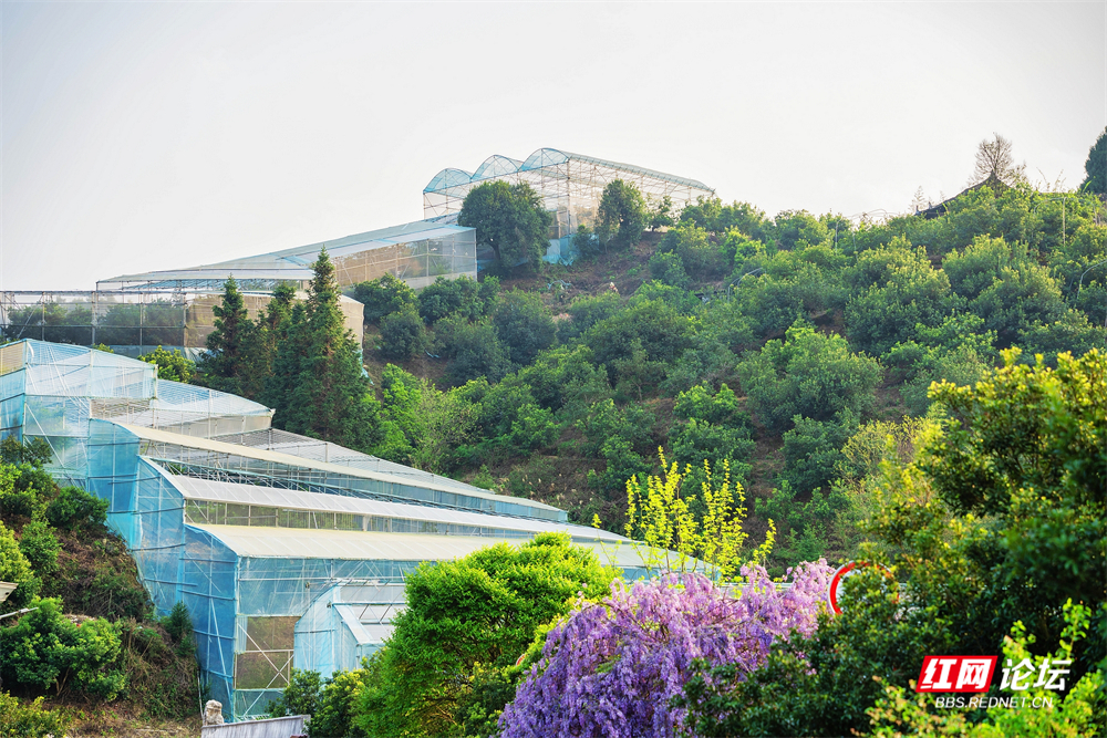 nEO_IMG_DSC00793 拷贝.jpg