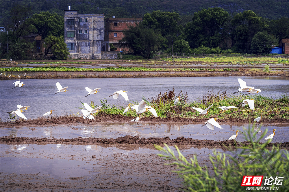 018 生态共生，圆满春耕.jpg