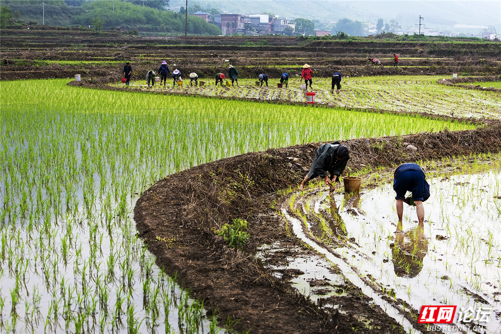 056 众人协力，凝聚力量.jpg