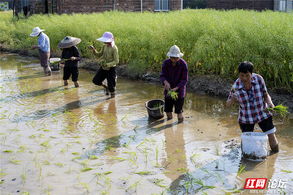 049 众人协力，凝聚力量.jpg