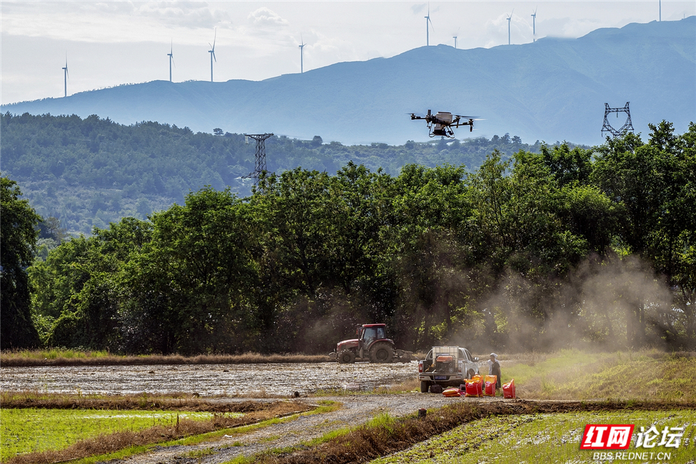 001 科技护航，守护丰收.jpg