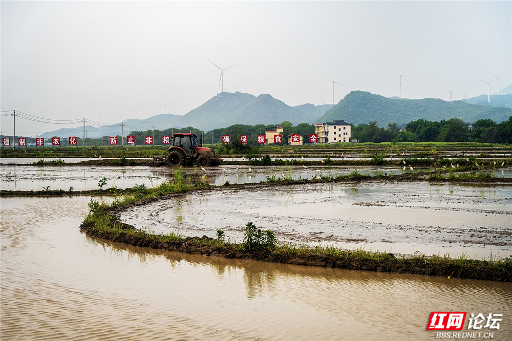 015 生态共生，圆满春耕.jpg