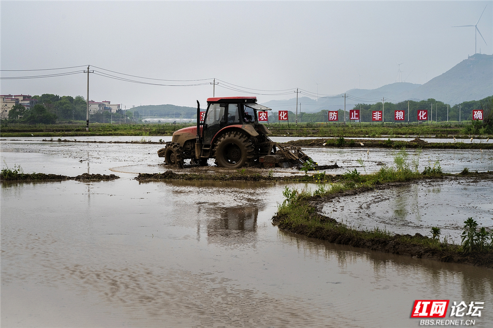 011 生态共生，圆满春耕.jpg