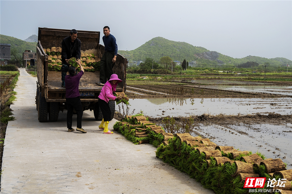 008 现代农机，高效启耕.jpg