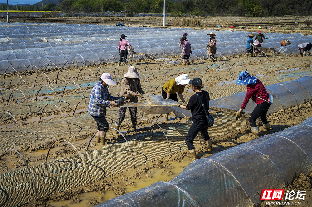040 春耕起点，孕育希望.jpg