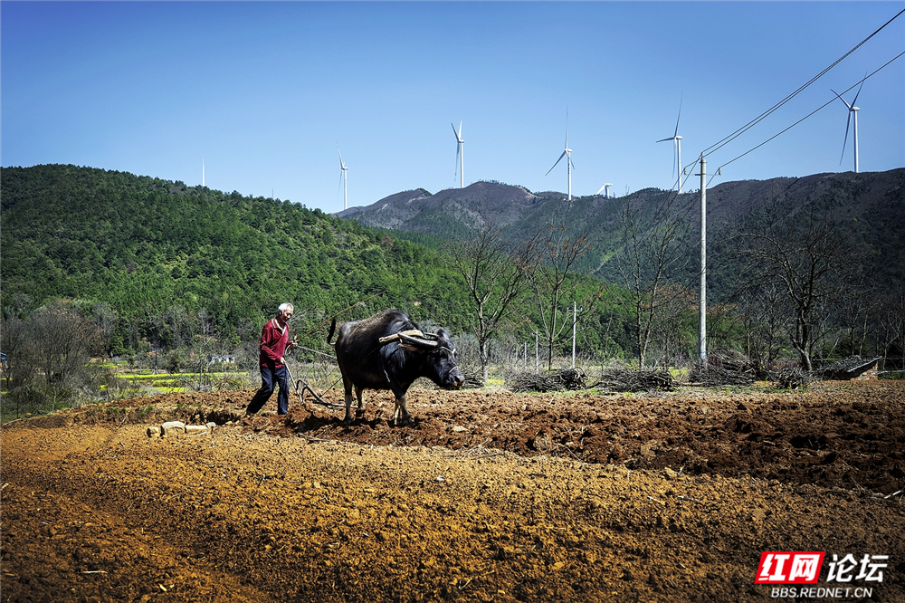 030 传统农耕，文明传承.jpg