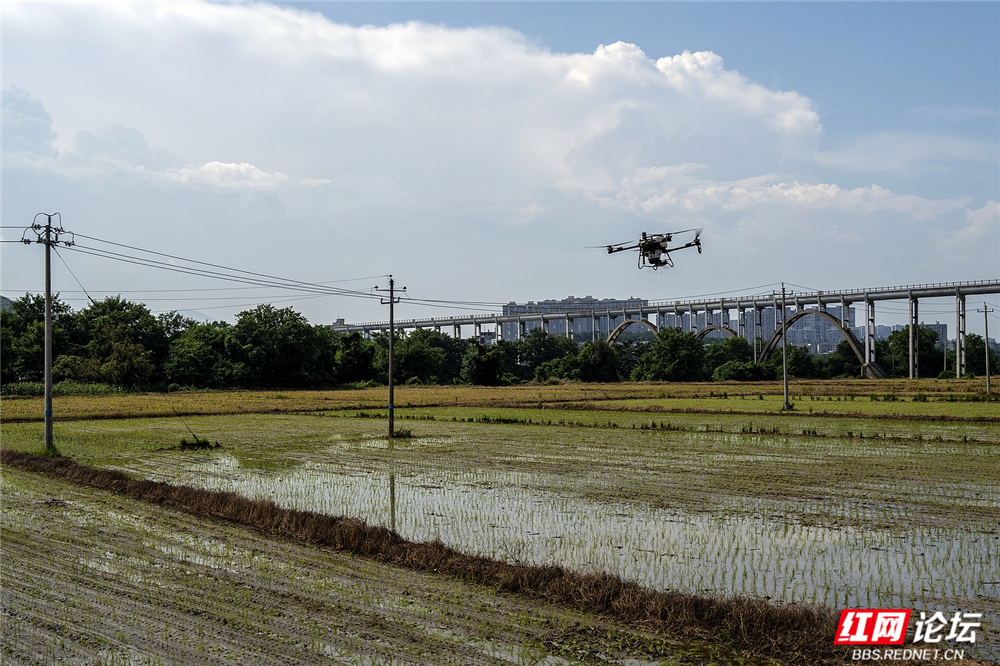 009 科技护航，守护丰收.jpg