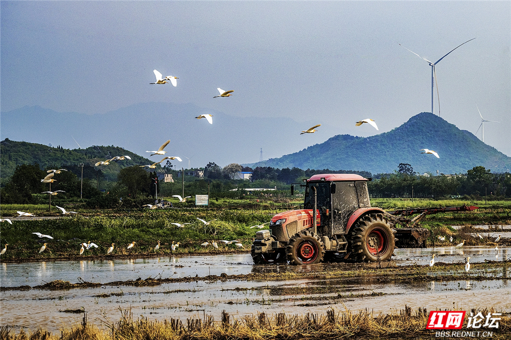 004 生态共生，圆满春耕.jpg