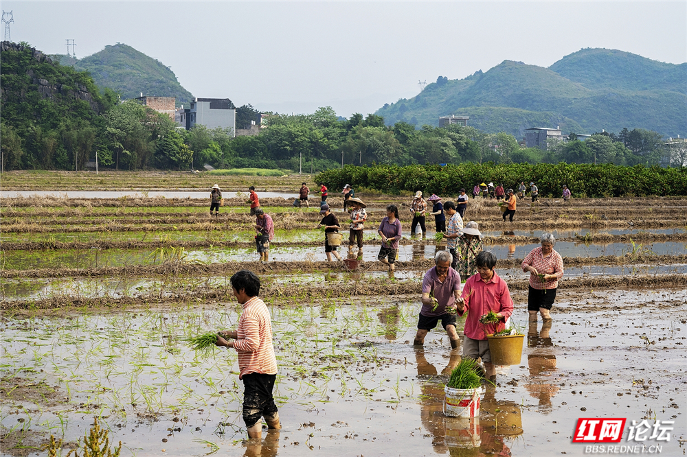 046 众人协力，凝聚力量.jpg