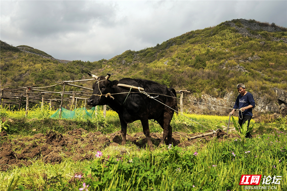 035 传统农耕，文明传承.jpg