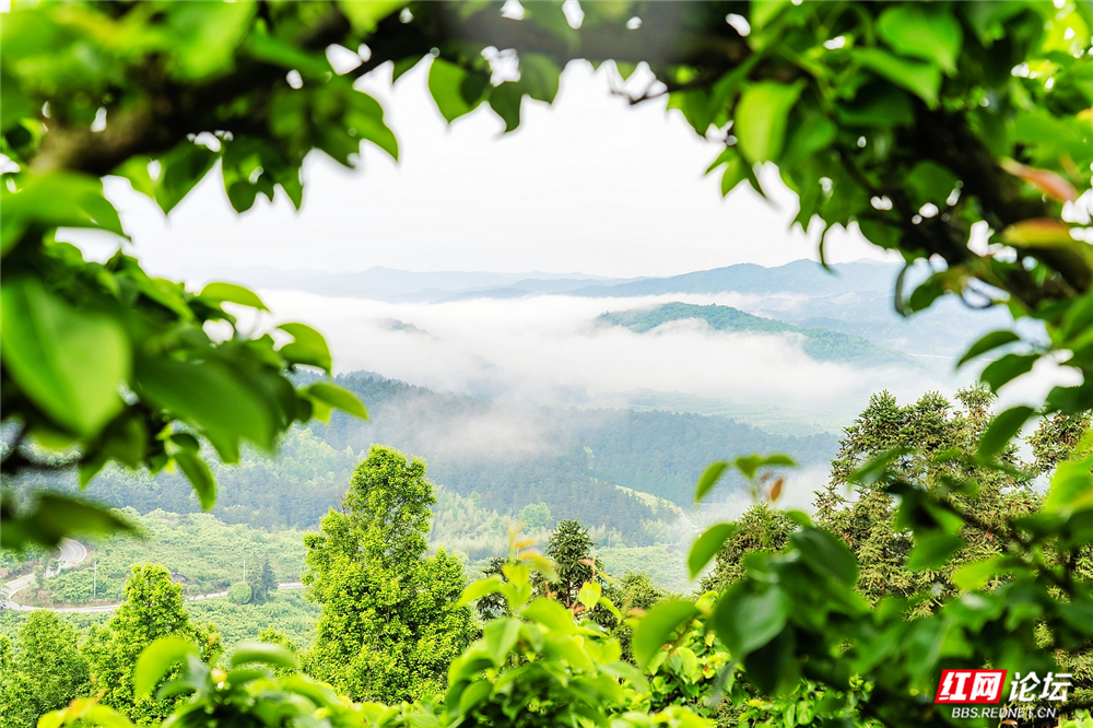 nEO_IMG_DSC04238 拷贝.jpg