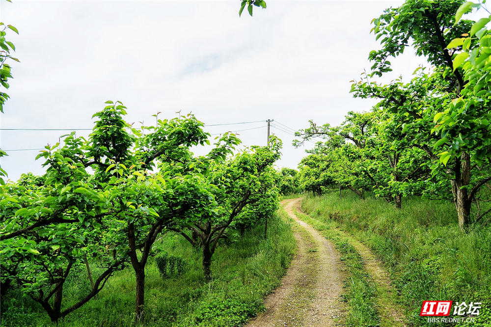 nEO_IMG_DSC04303 拷贝.jpg