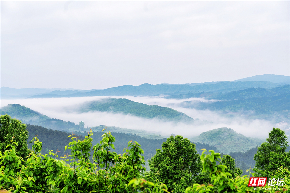 nEO_IMG_DSC04107 拷贝.jpg