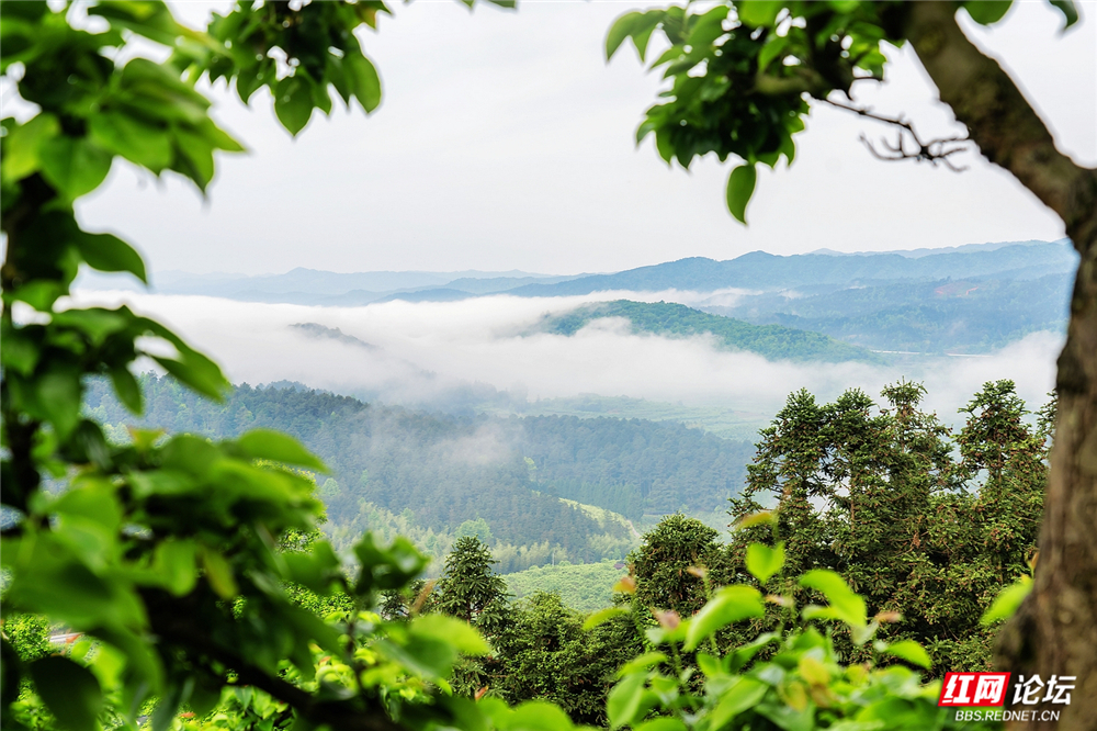 nEO_IMG_DSC04235 拷贝.jpg