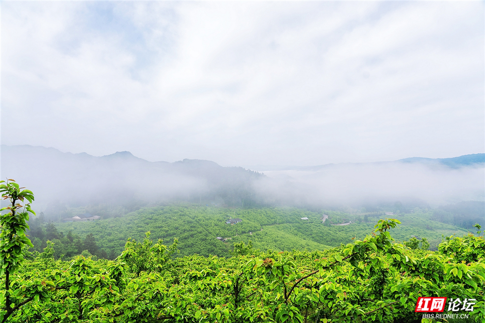 nEO_IMG_DSC04275 拷贝.jpg