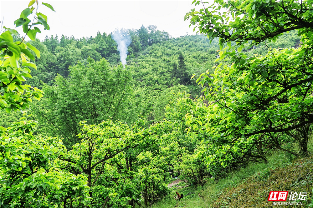 nEO_IMG_DSC04132 拷贝.jpg