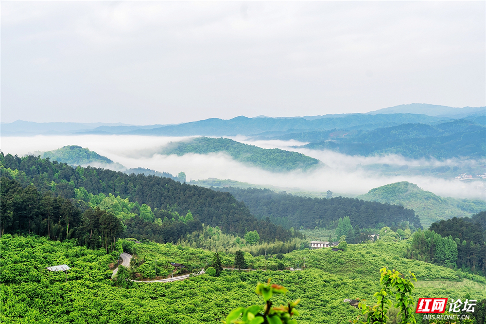 nEO_IMG_DSC04058 拷贝.jpg