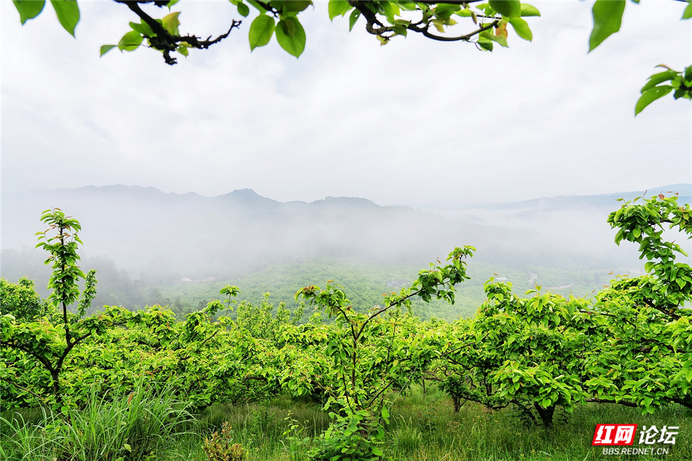 nEO_IMG_DSC04268 拷贝.jpg