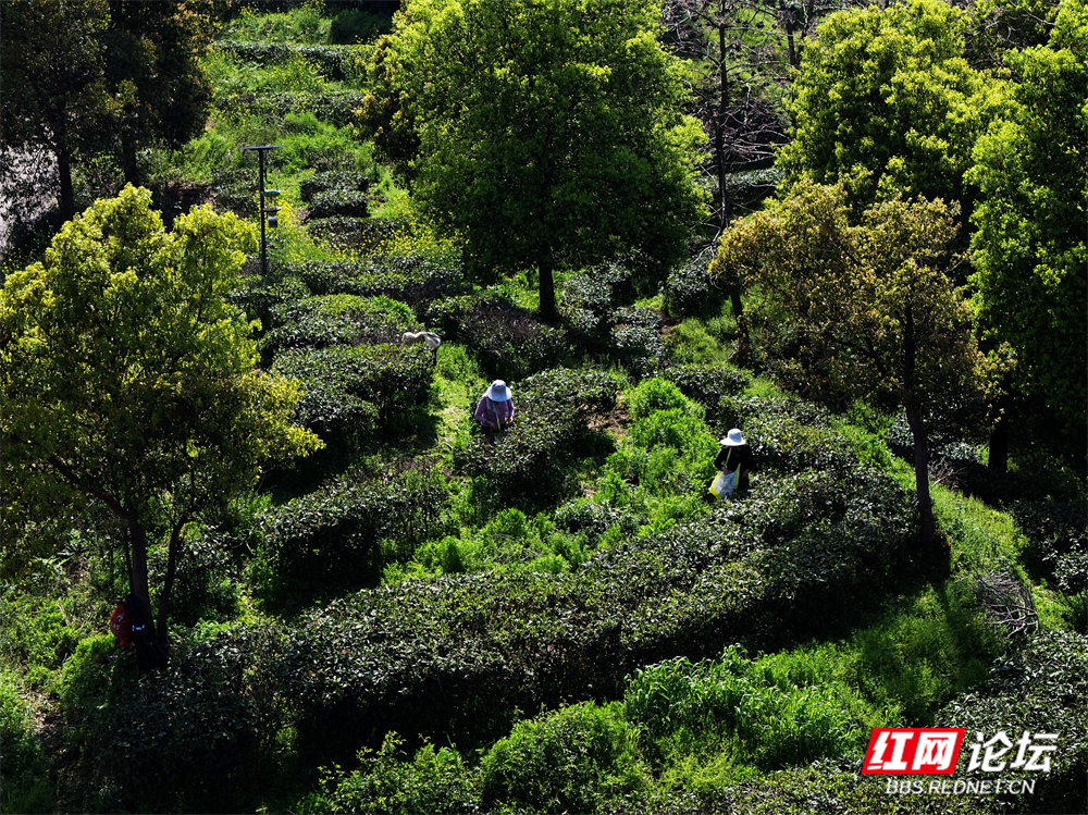 nEO_IMG_微信图片_20260403180553_99_180.jpg nEO_IMG_微信图片_20260403180553_99_180.jpg