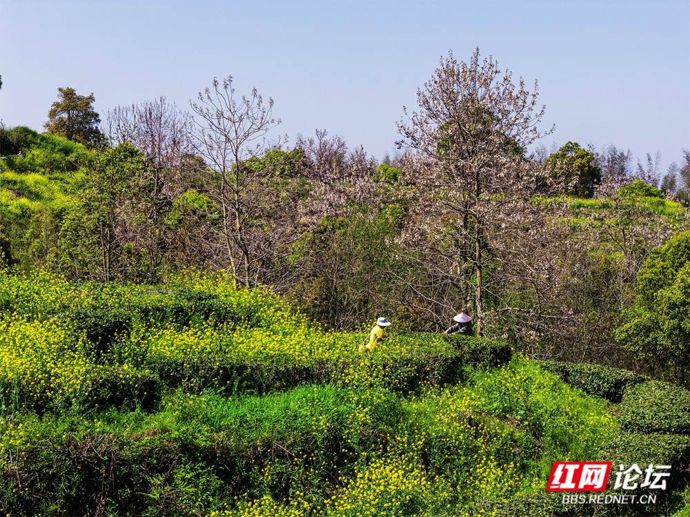 nEO_IMG_微信图片_20260403180558_102_180.jpg nEO_IMG_微信图片_20260403180558_102_180.jpg