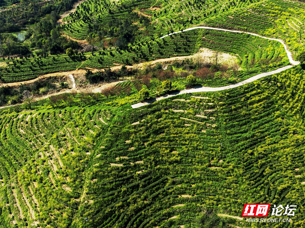 nEO_IMG_微信图片_20260403180555_100_180.jpg nEO_IMG_微信图片_20260403180555_100_180.jpg