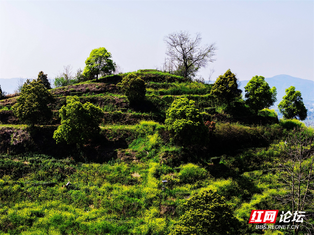 nEO_IMG_微信图片_20260403180601_104_180.jpg nEO_IMG_微信图片_20260403180601_104_180.jpg