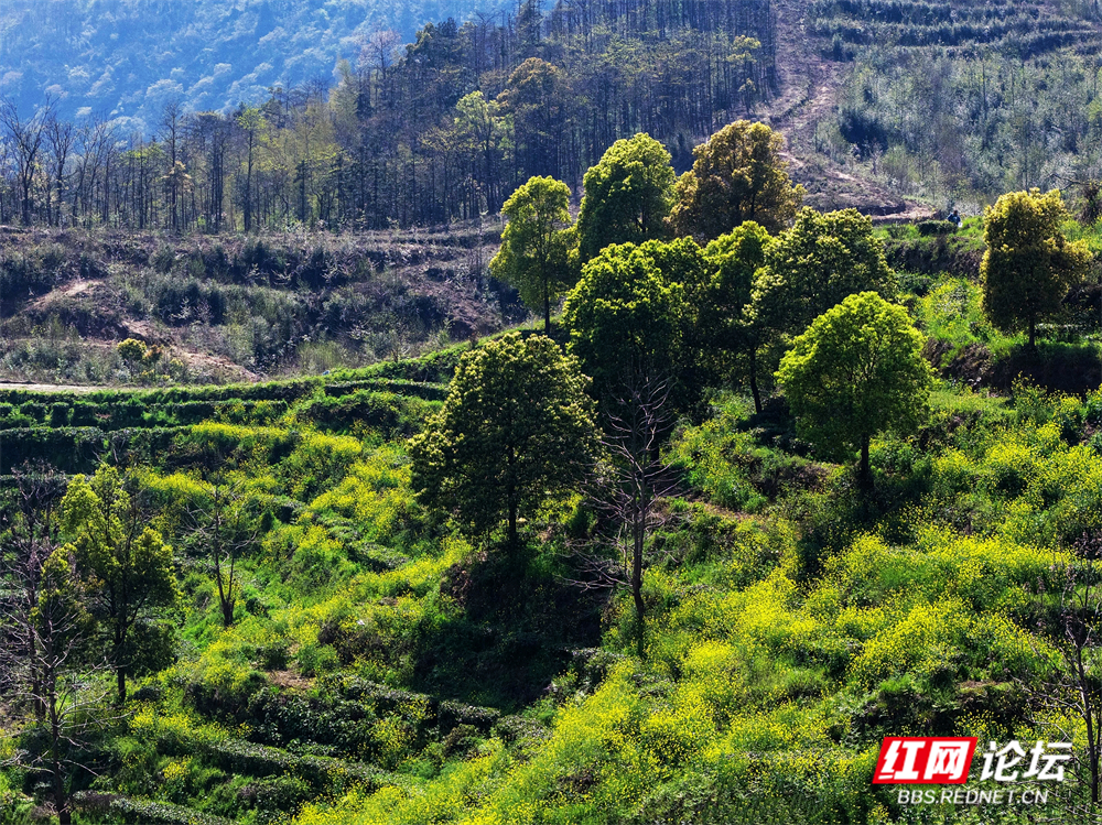 nEO_IMG_微信图片_20260403180559_103_180.jpg nEO_IMG_微信图片_20260403180559_103_180.jpg