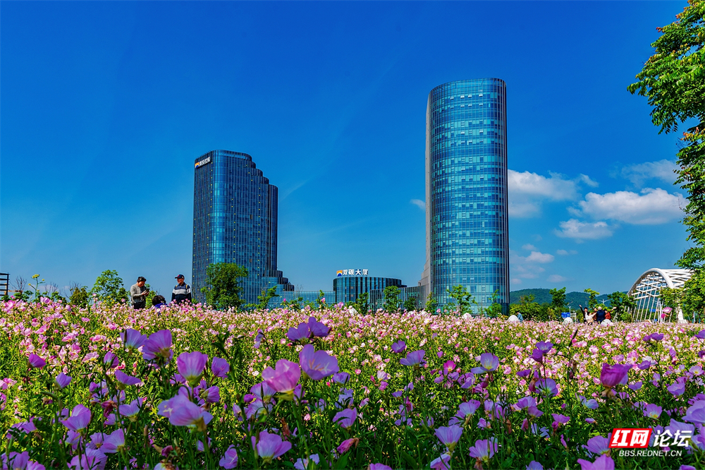 nEO_IMG_微信图片_20260430202047_591_856.jpg
