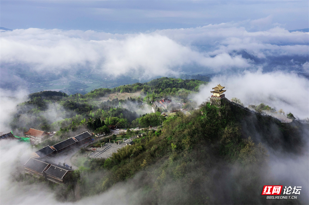 nEO_IMG_DJI_0611 (1).jpg