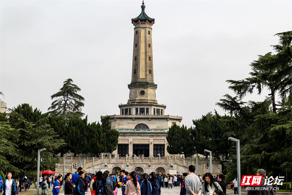 图片12.png 图片12.png