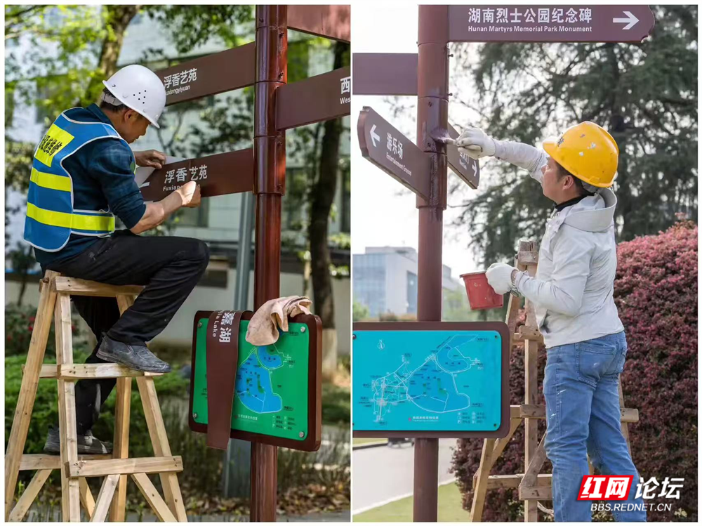 图片13.png 图片13.png