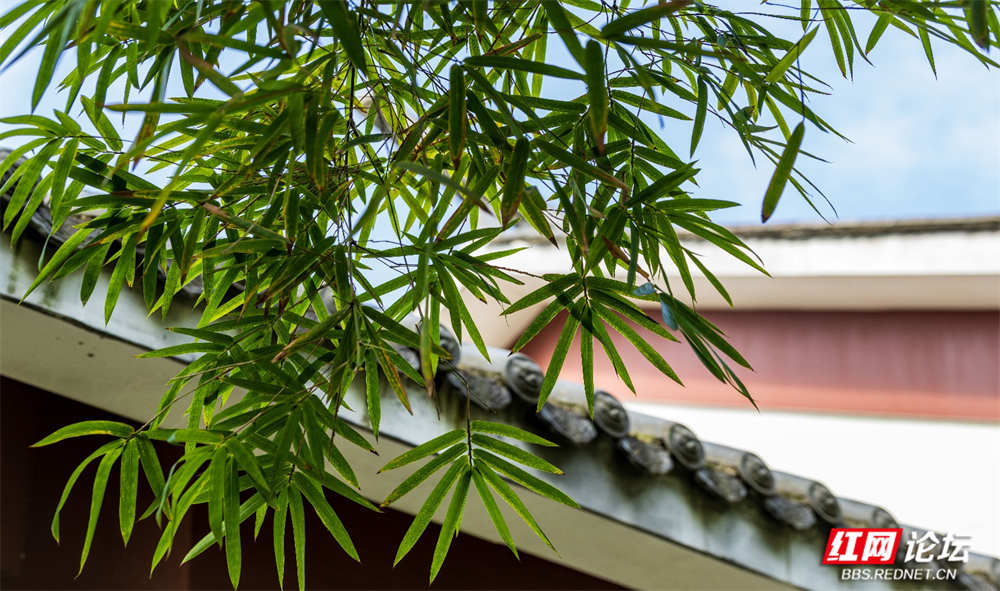 图片20.png 图片20.png