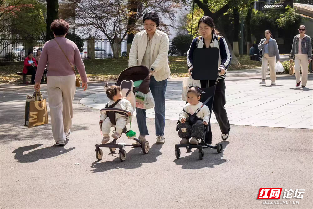 图片8.png 图片8.png