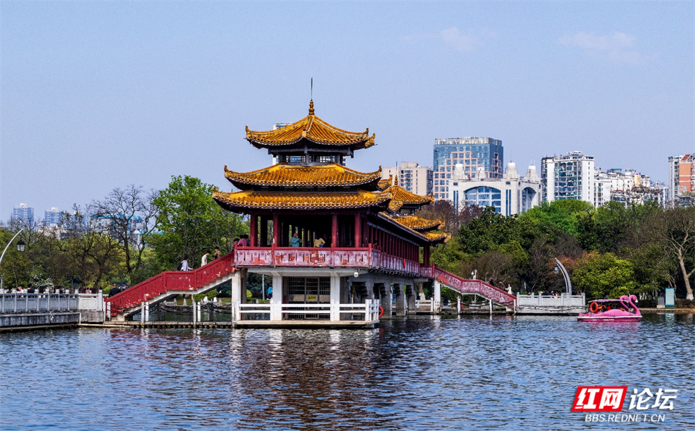 图片18.png 图片18.png